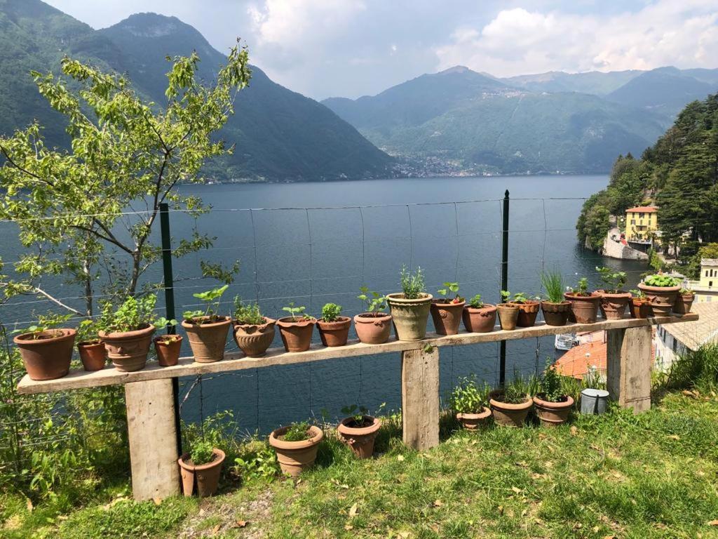 Gli Orti Della Civera " Cottagecore" Amazing View Нессо Экстерьер фото