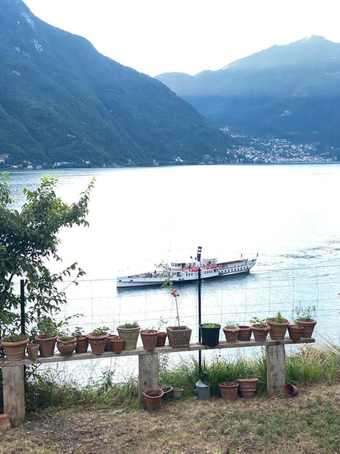 Gli Orti Della Civera " Cottagecore" Amazing View Нессо Экстерьер фото